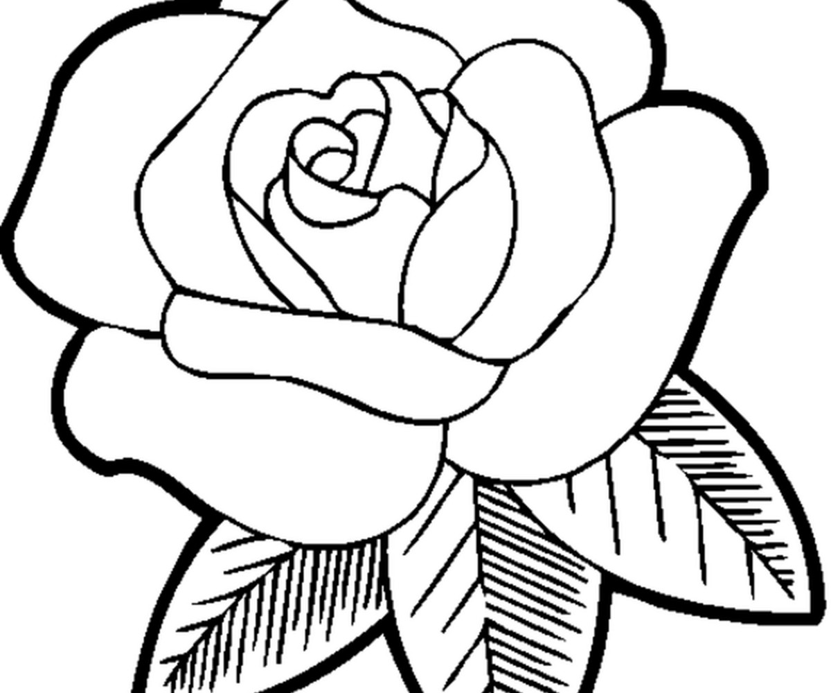 1000 Coloring Pages For Girls
 Derrick Rose Free Colouring Pages