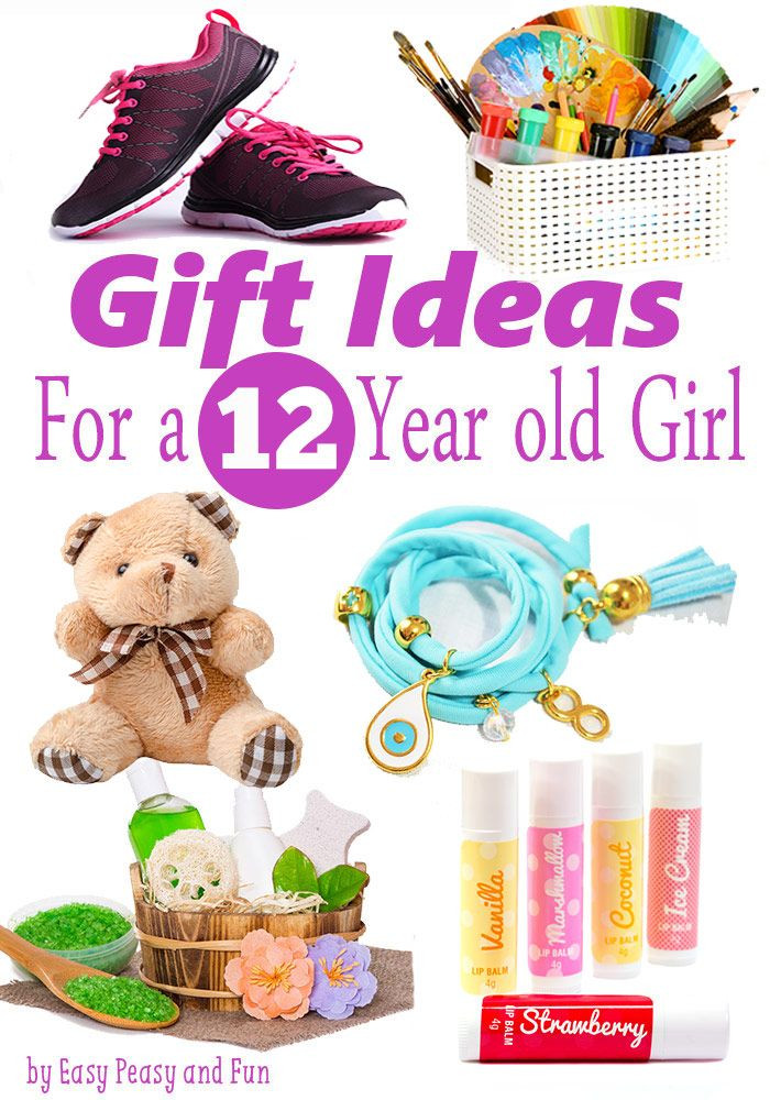 12 Year Old Boy Birthday Gift Ideas
 Best Gifts for a 12 Year Old Girl Easy Peasy and Fun