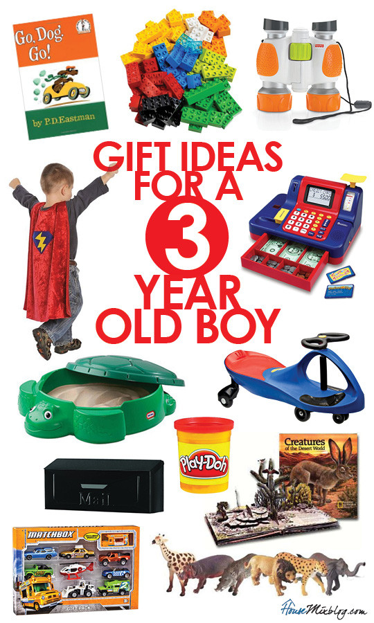 3 Year Old Gift Ideas Boys
 Toys for a 3 year old boy