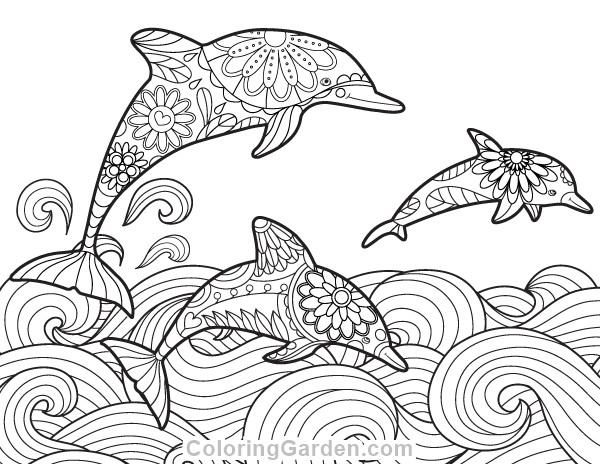 8.5 X 11 Free Coloring Sheets Kids Under The Sea
 Dolphin Adult Coloring Page