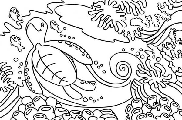 8.5 X 11 Free Coloring Sheets Kids Under The Sea
 Sea Turtle Habitat Free Coloring Page Download & Print