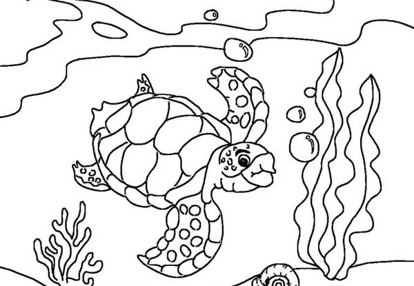 8.5 X 11 Free Coloring Sheets Kids Under The Sea
 Sea Turtle Diving Coloring Page Download & Print line