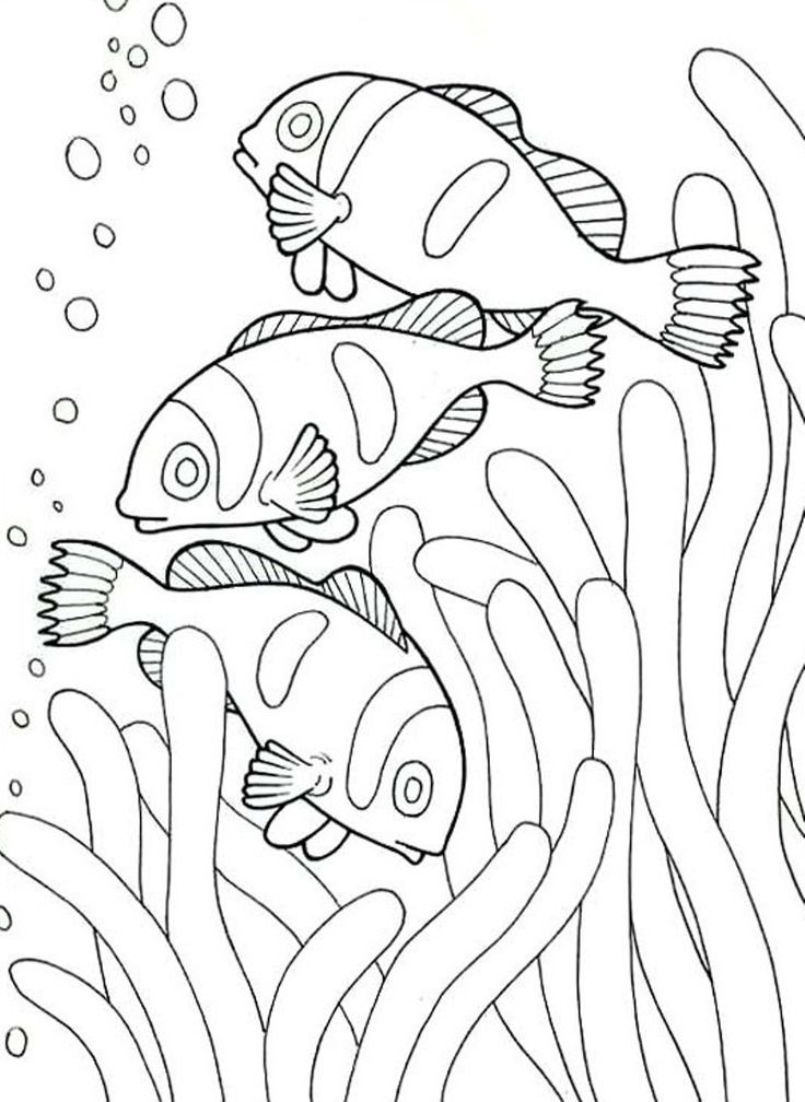 8.5 X 11 Free Coloring Sheets Kids Under The Sea
 Sea Creatures Free Colouring Pages