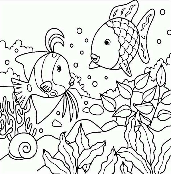 8.5 X 11 Free Coloring Sheets Kids Under The Sea
 Free Rainbow Fish Sea Animals Coloring Page Download