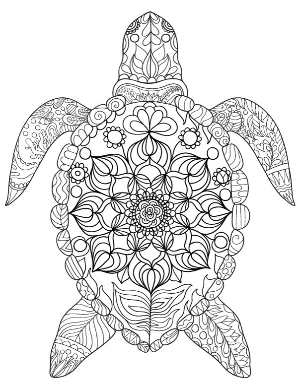 8.5 X 11 Free Coloring Sheets Kids Under The Sea
 Sea Turtle Adult Coloring Page