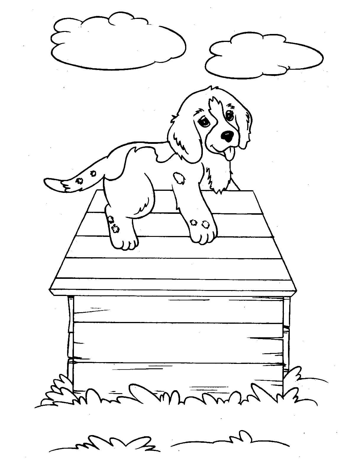 A Dog Coloring Sheets For Kids Of Grantie
 Kolorowanki pies Pokoloruj Świat