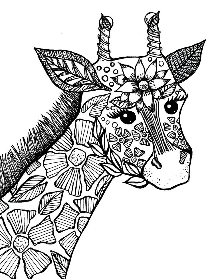 Adult Coloring Book Animals
 Coloring Pages Animals For Adults – Color Bros