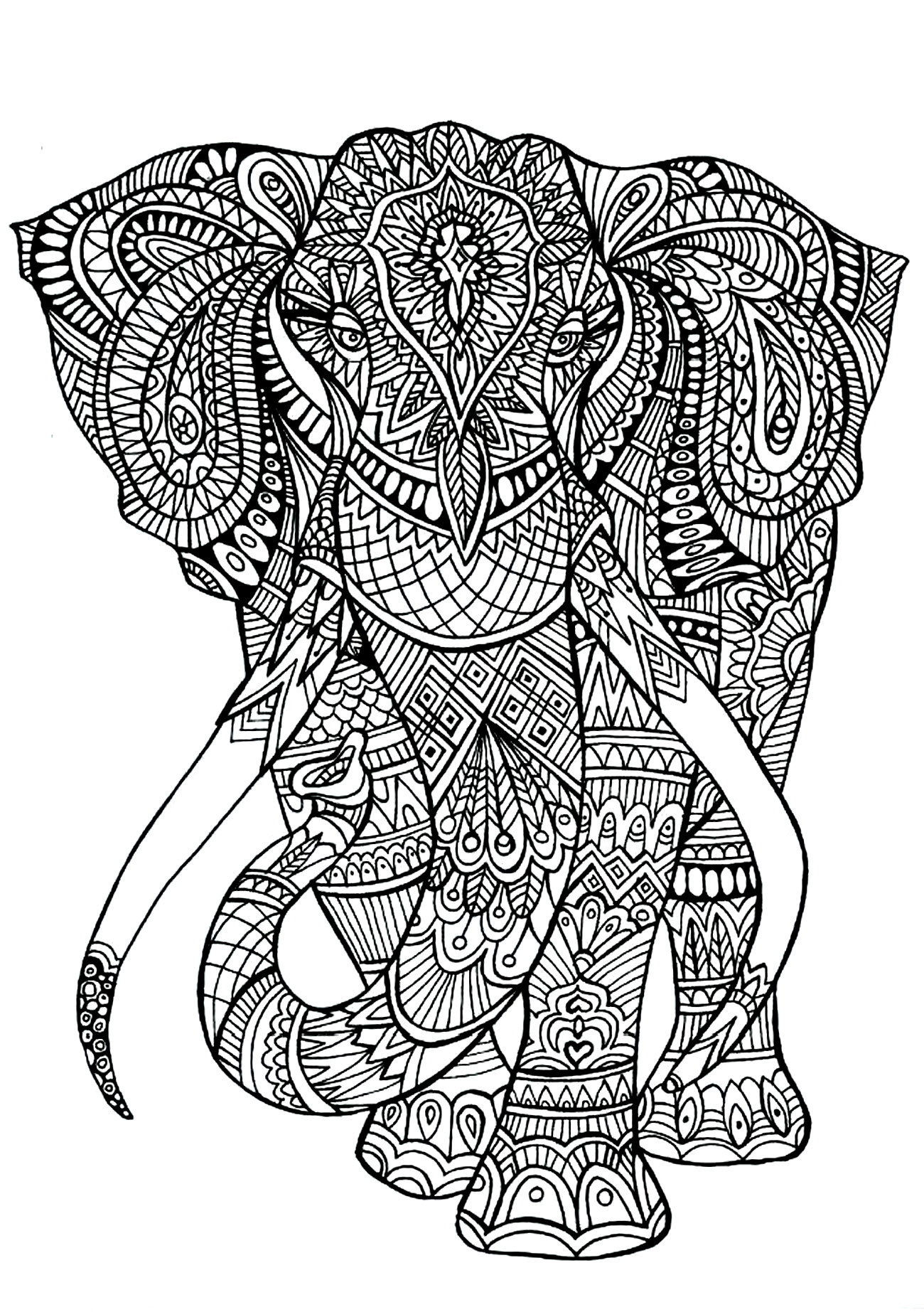 Adult Coloring Book Animals
 Elephant patterns