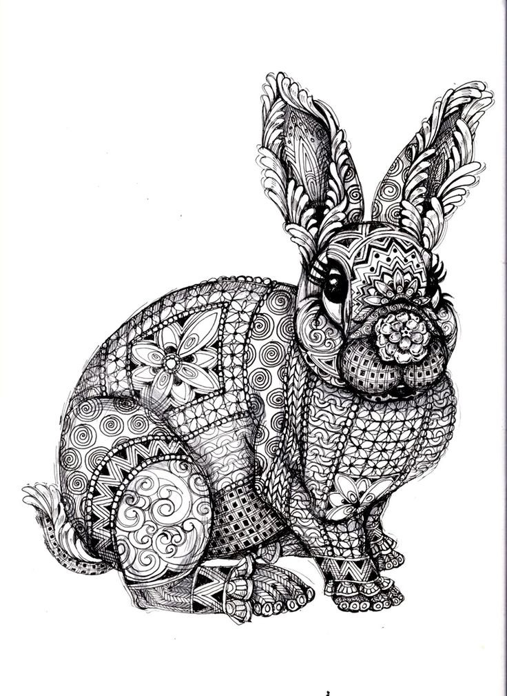 Adult Coloring Book Animals
 Animal Coloring Pages for Adults Bestofcoloring