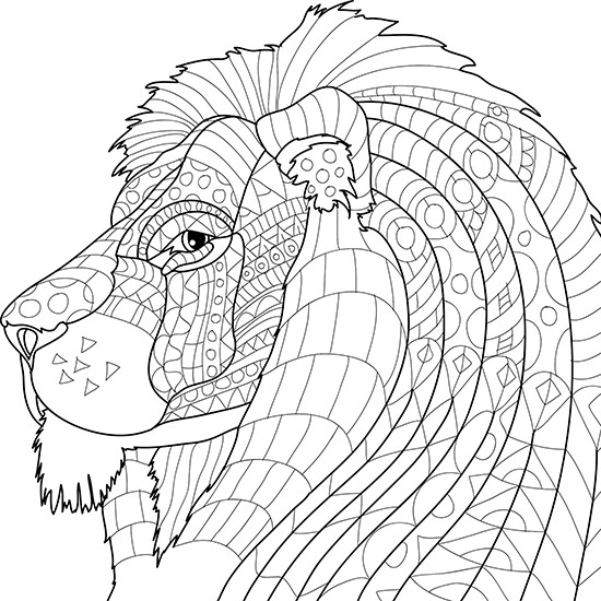 Adult Coloring Book Animals
 Adult Coloring Pages Animals Best Coloring Pages For Kids