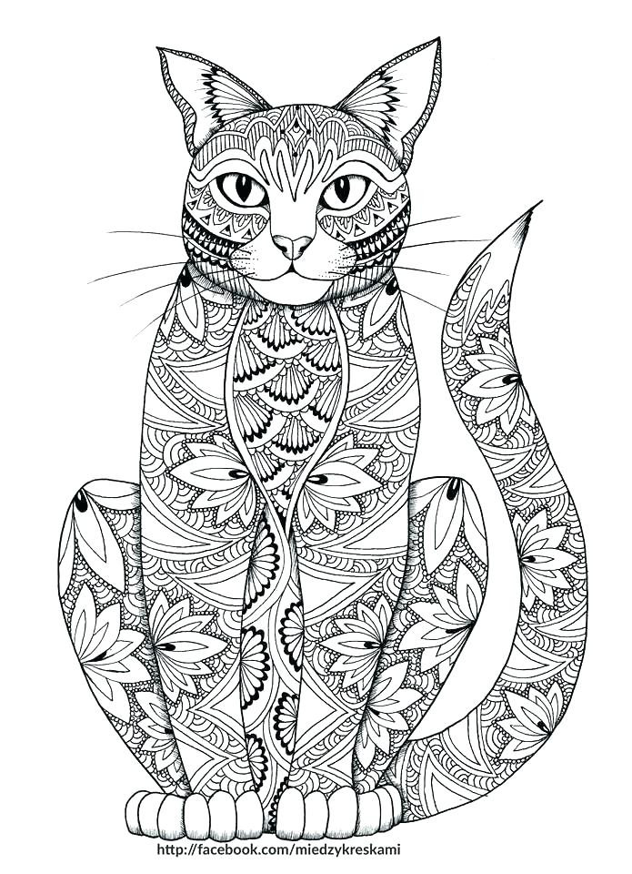 Adult Coloring Book Cat
 home improvement Realistic cat coloring pages Coloring