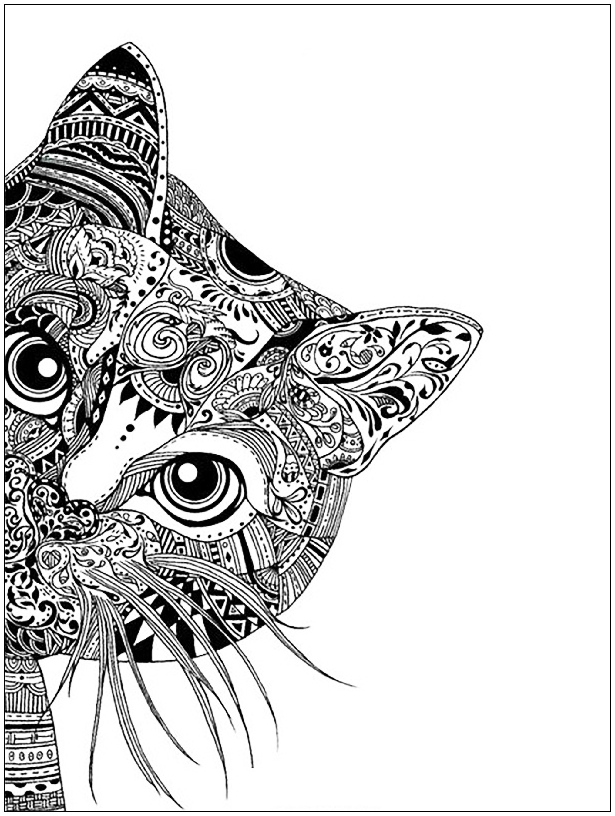 Adult Coloring Book Cat
 Pages cat head