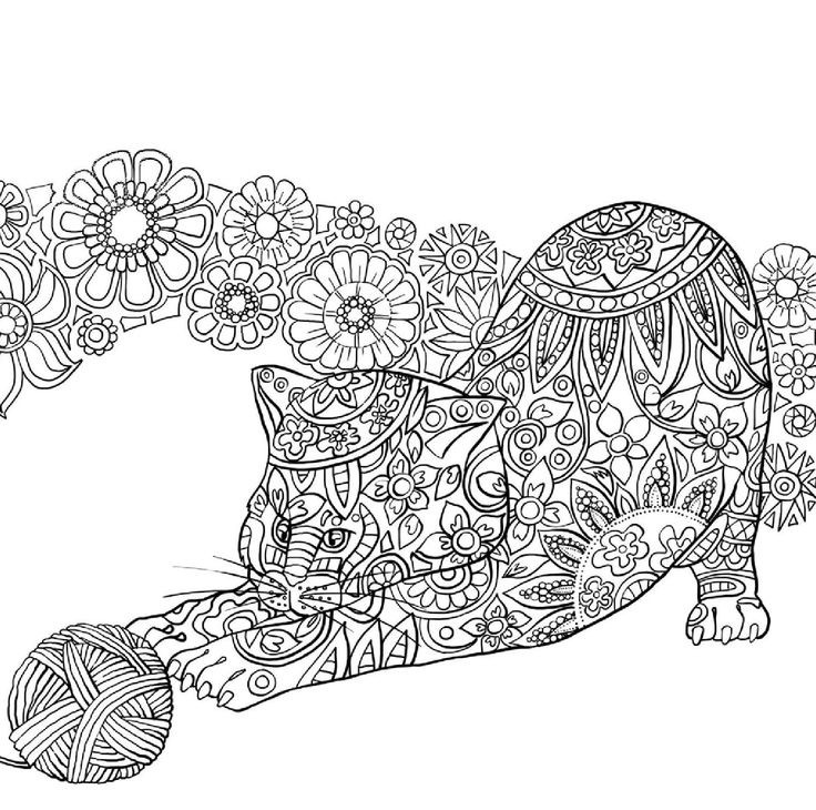 Adult Coloring Book Cat
 Cat Coloring Pages for Adults