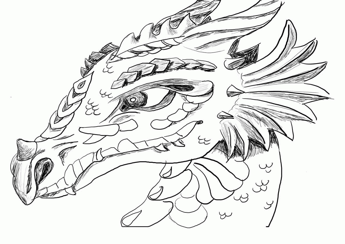 Adult Coloring Book Dragon
 Realistic Dragon Coloring Pages For Adults Coloring Home