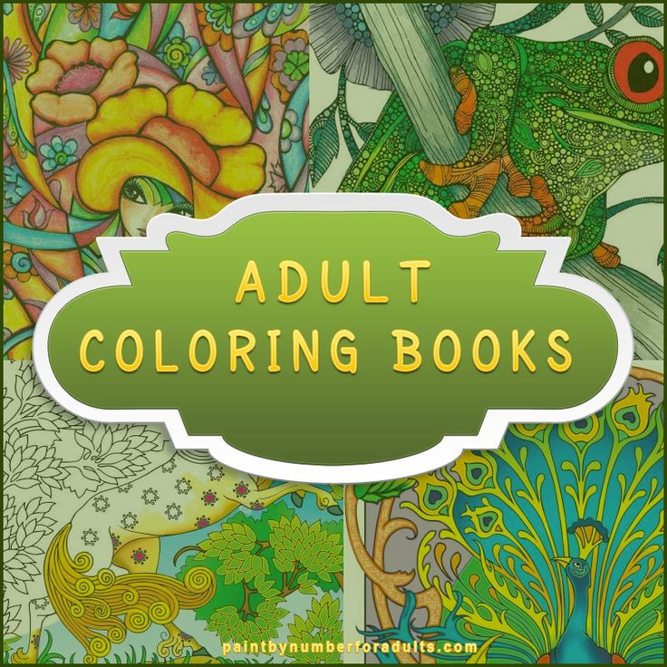 Adult Coloring Book Kit
 17 Best images about Paint By Number Kits For Adults on