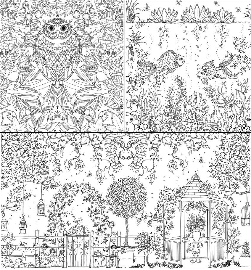 Adult Coloring Book Pages Secret Garden
 Secret Garden Coloring Book Johanna Basford