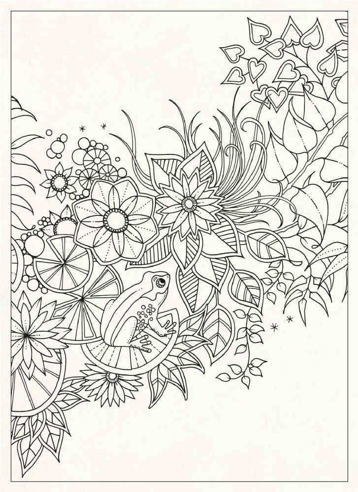 Adult Coloring Book Pages Secret Garden
 64 best Johanna Basford images on Pinterest