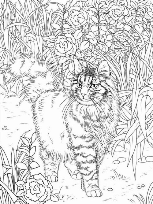 Adult Coloring Books Cats
 Best Coloring Books for Cat Lovers Cleverpedia