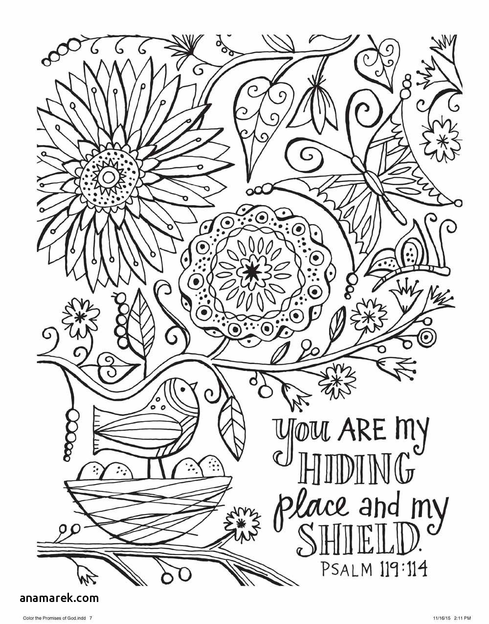 Adult Coloring Books On Amazon
 Michaels Adult Coloring Books coloring page