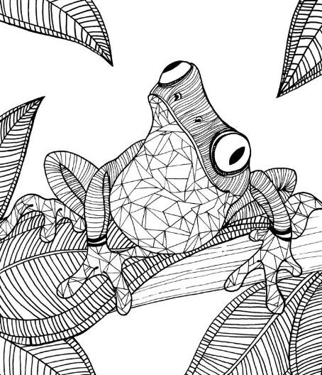 Adult Coloring Pages Animal Patterns
 Dragonfly Frog Coloring Page Coloring Pages