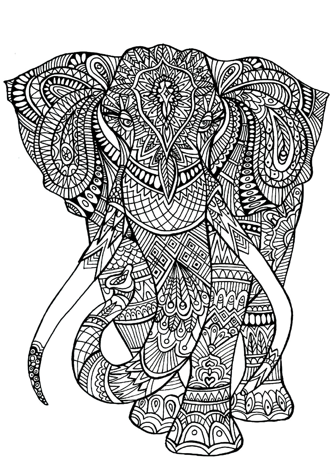 Adult Coloring Pages Animal Patterns
 Elephant patterns