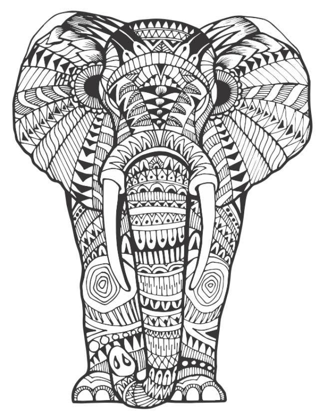 Adult Coloring Pages Animal Patterns
 159 best Elephant Coloring Pages for Adults images on