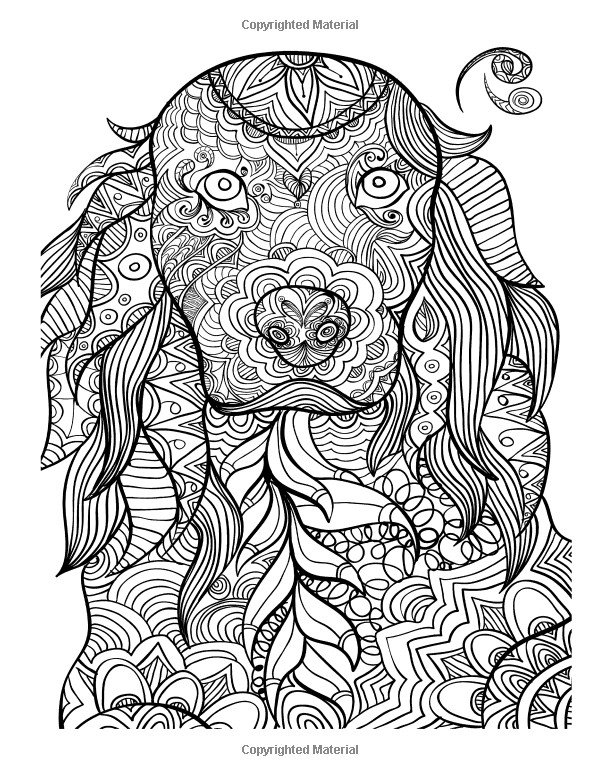 Adult Coloring Pages Animal Patterns
 Amazon FASCINATING Animal Patterns Coloring Book for