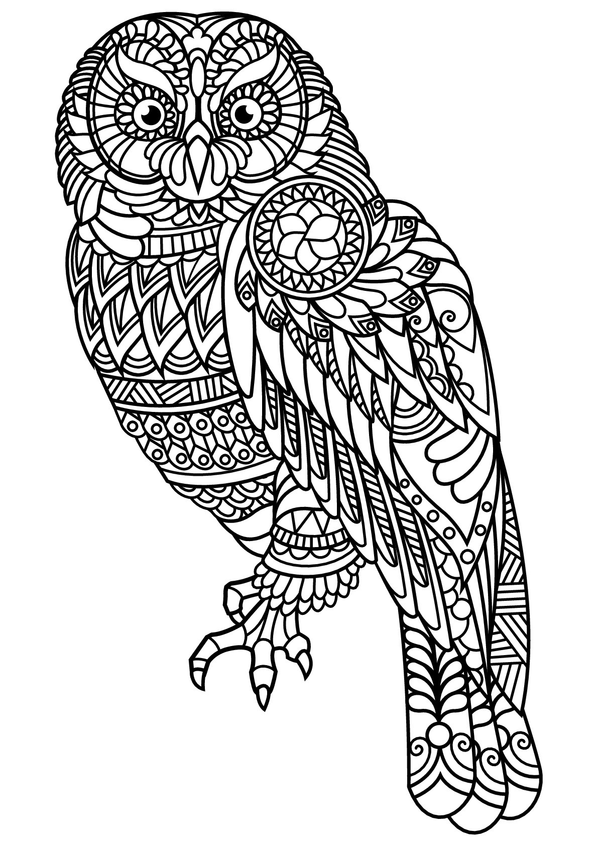 Adult Coloring Pages Animal Patterns
 Free book owl Owls Adult Coloring Pages
