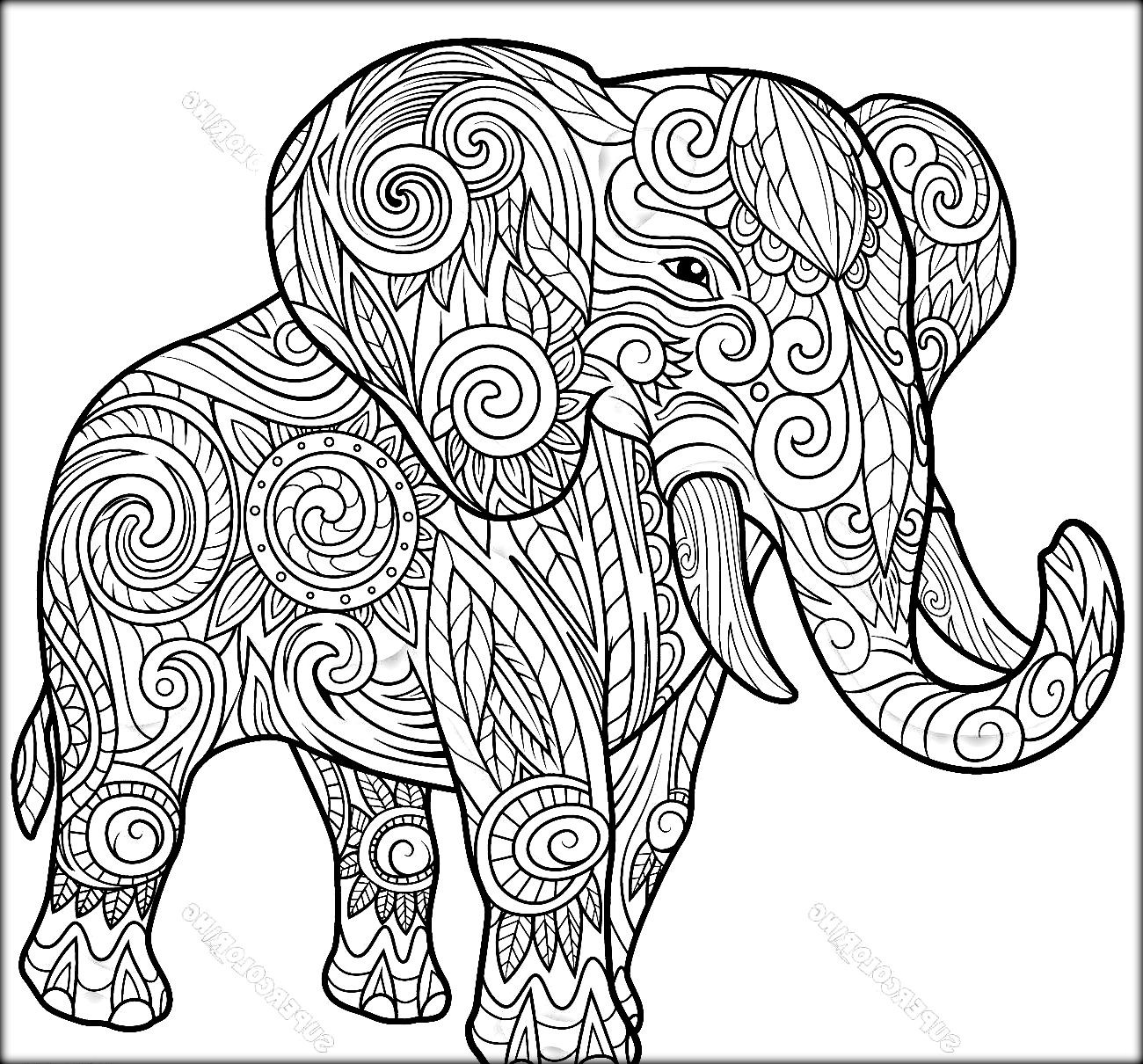 Adult Coloring Pages Elephant
 Elephant Coloring Pages coloringsuite