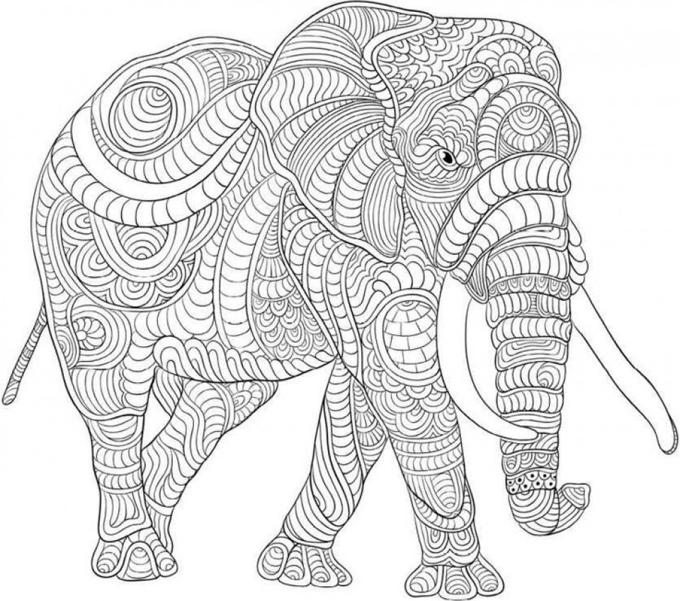Adult Coloring Pages Elephant
 Get This Difficult Elephant Coloring Pages for Grown Ups