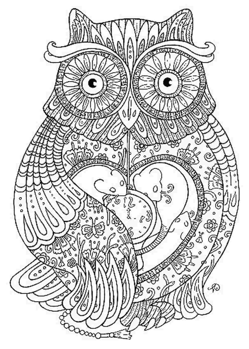 Adult Coloring Pages Owl
 Cute Owl Coloring Page 5599 Bestofcoloring