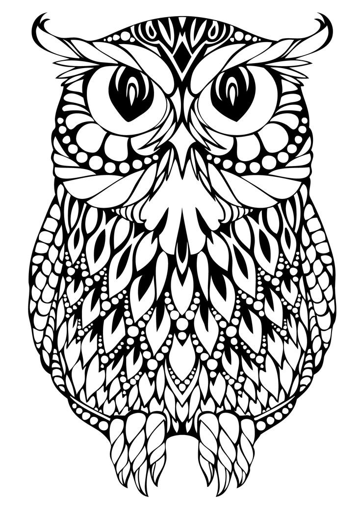 Adult Coloring Pages Owl
 Decorative Owl Adult Anti Stress Coloring Page Black And
