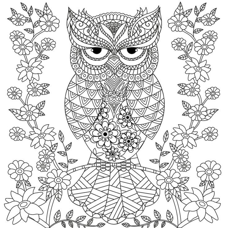 Adult Coloring Pages Owl
 OWL Coloring Pages for Adults Free Detailed Owl Coloring