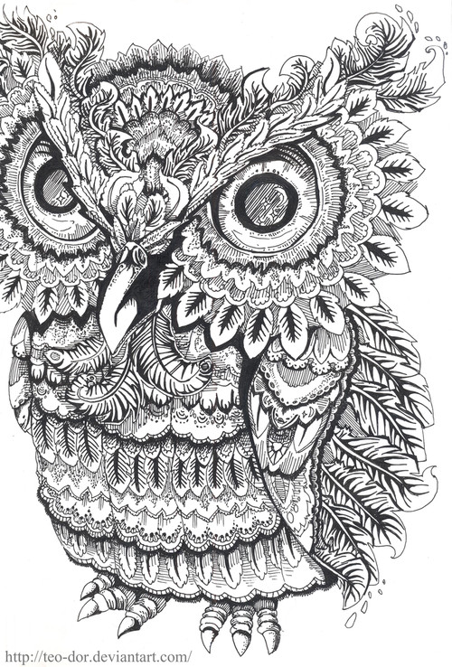 Adult Coloring Pages Owl
 Owl Coloring Pages for Adults Bestofcoloring