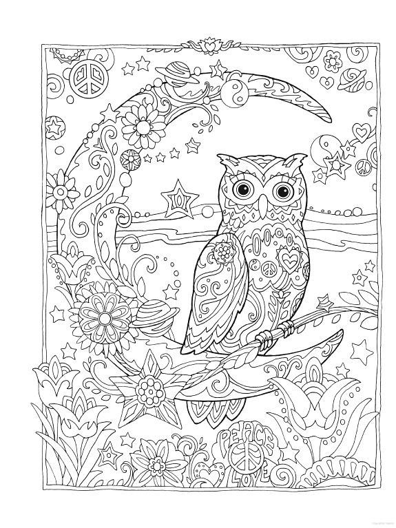 Adult Coloring Pages Owl
 OWL Coloring Pages for Adults Free Detailed Owl Coloring