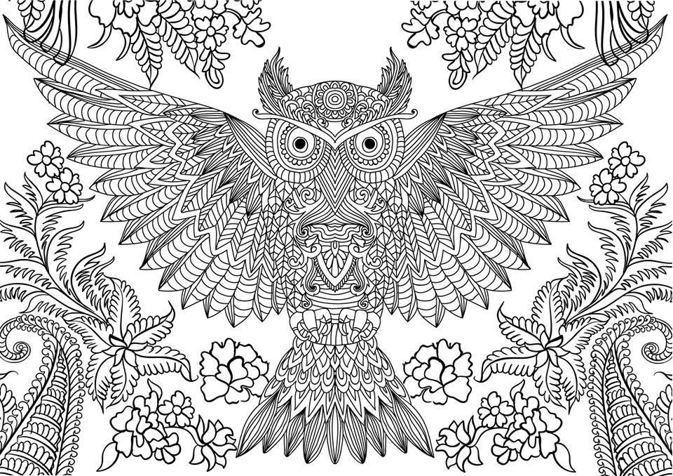 Adult Coloring Pages Owl
 10 Difficult Owl Coloring Page For Adults