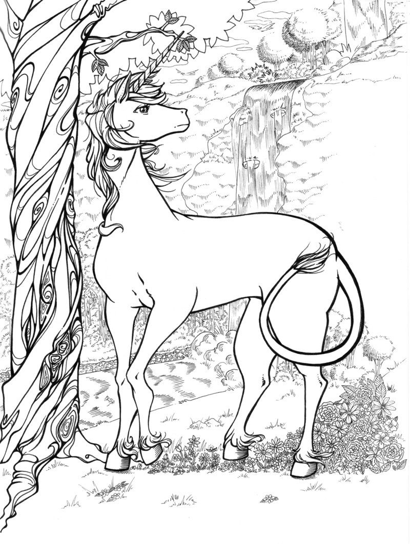 Adult Coloring Pages Unicorn
 Unicorn Colouring Pages