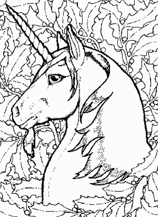 Adult Coloring Pages Unicorn
 Unicorn Coloring Pages To Print Horse Coloring