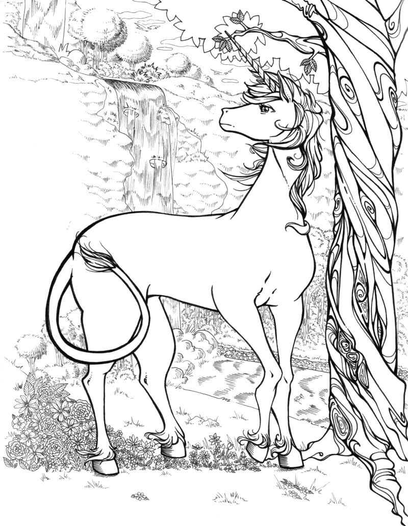 Adult Coloring Pages Unicorn
 Unicorn Coloring Pages coloringcks