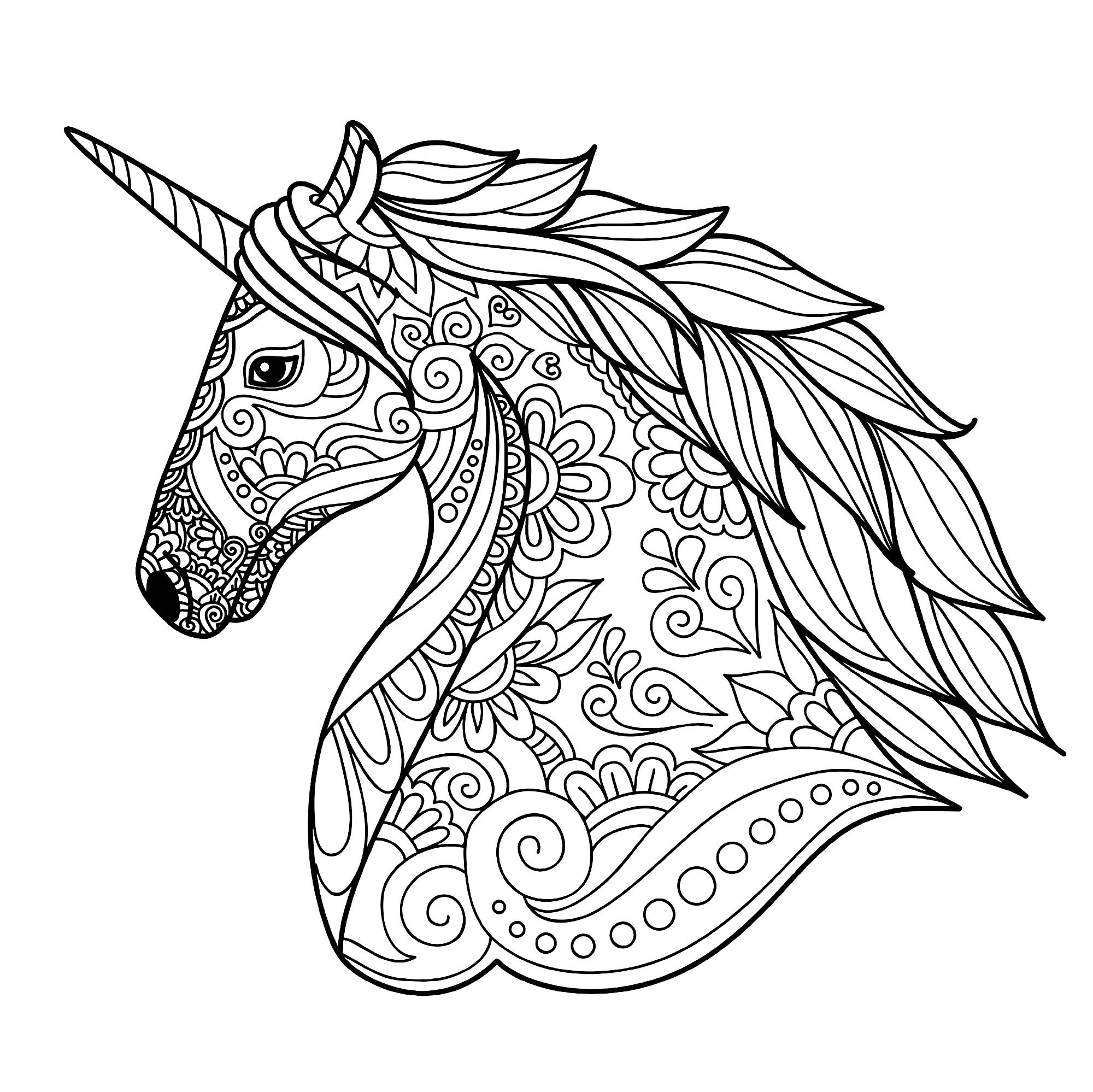 Adult Coloring Pages Unicorn
 Unicorn head simple Unicorns Adult Coloring Pages