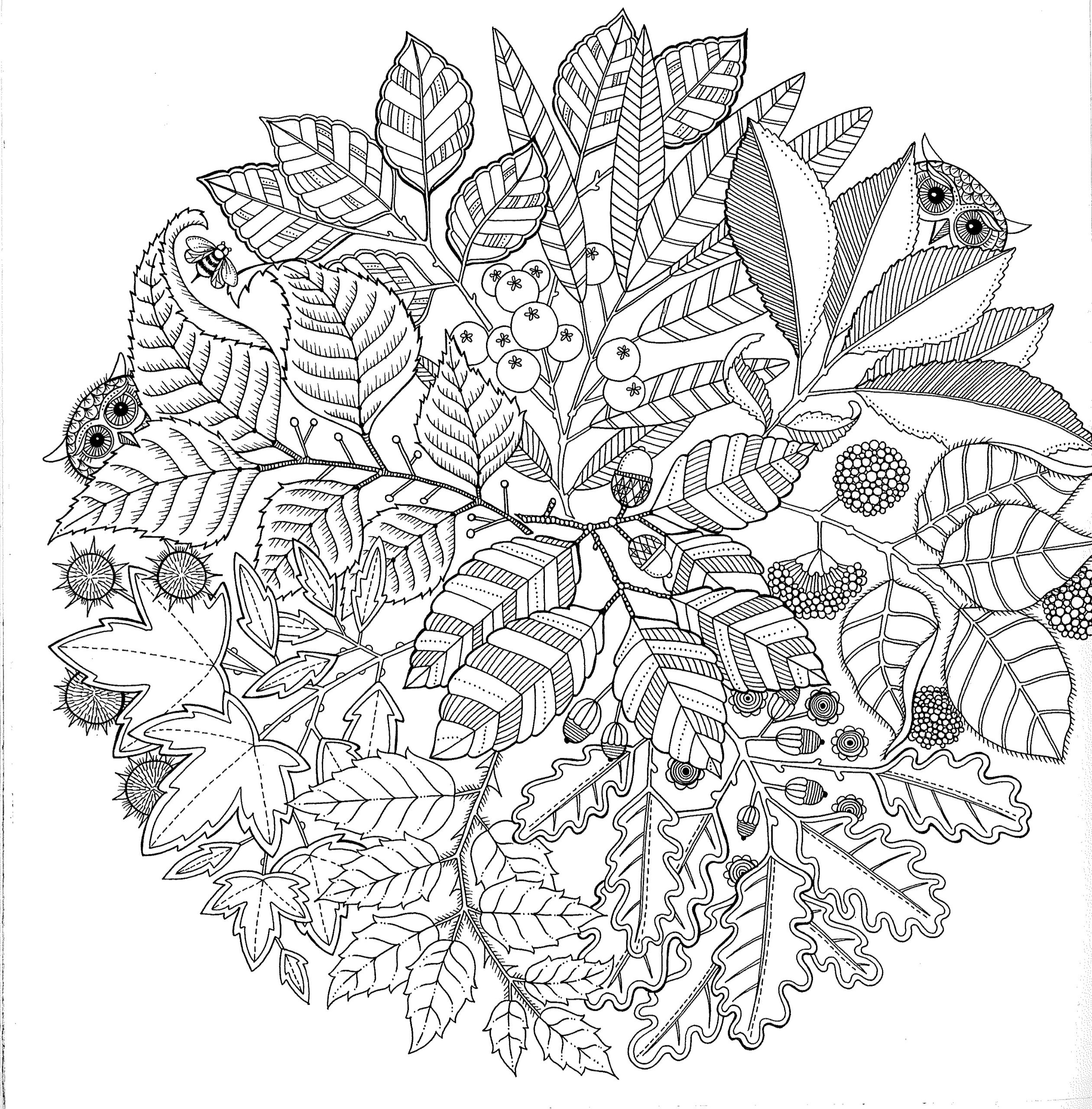 Adult Coloring Sheet
 Free Printable Abstract Coloring Pages for Adults