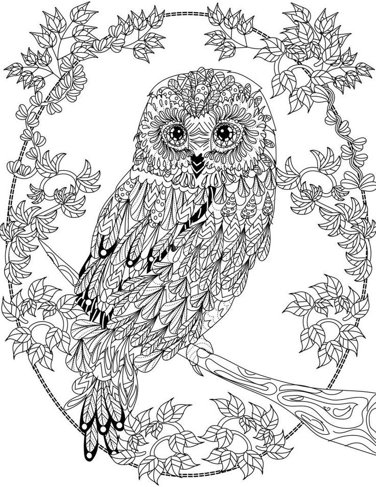 Adult Coloring Sheet
 OWL Coloring Pages for Adults Free Detailed Owl Coloring