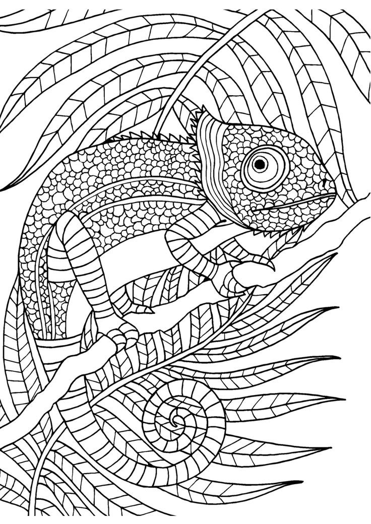 Adult Coloring Sheets For Kids
 Coloring Pages for Adult Abstract and Art Hard to Color