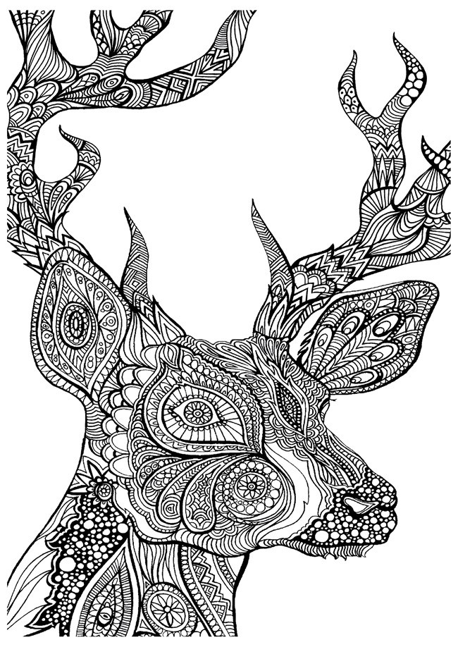 Adult Fall Coloring Pages
 12 Fall Coloring Pages for Adults Free Printables