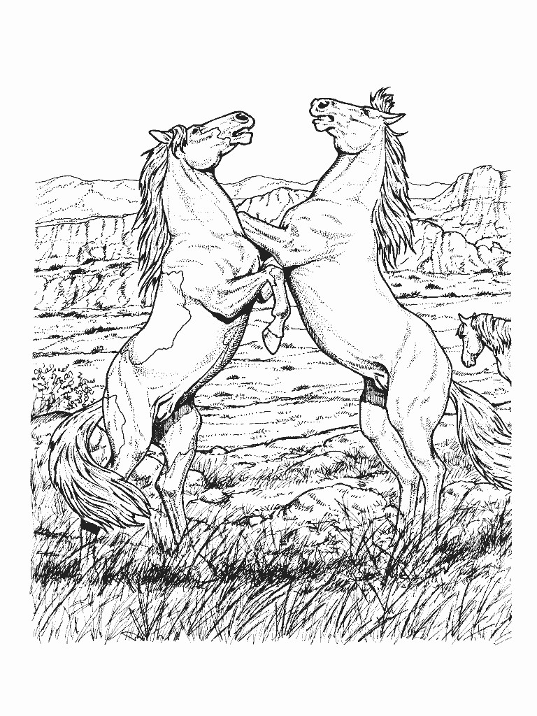 Adult Horse Coloring Pages
 Free Printable Horse Coloring Pages For Kids