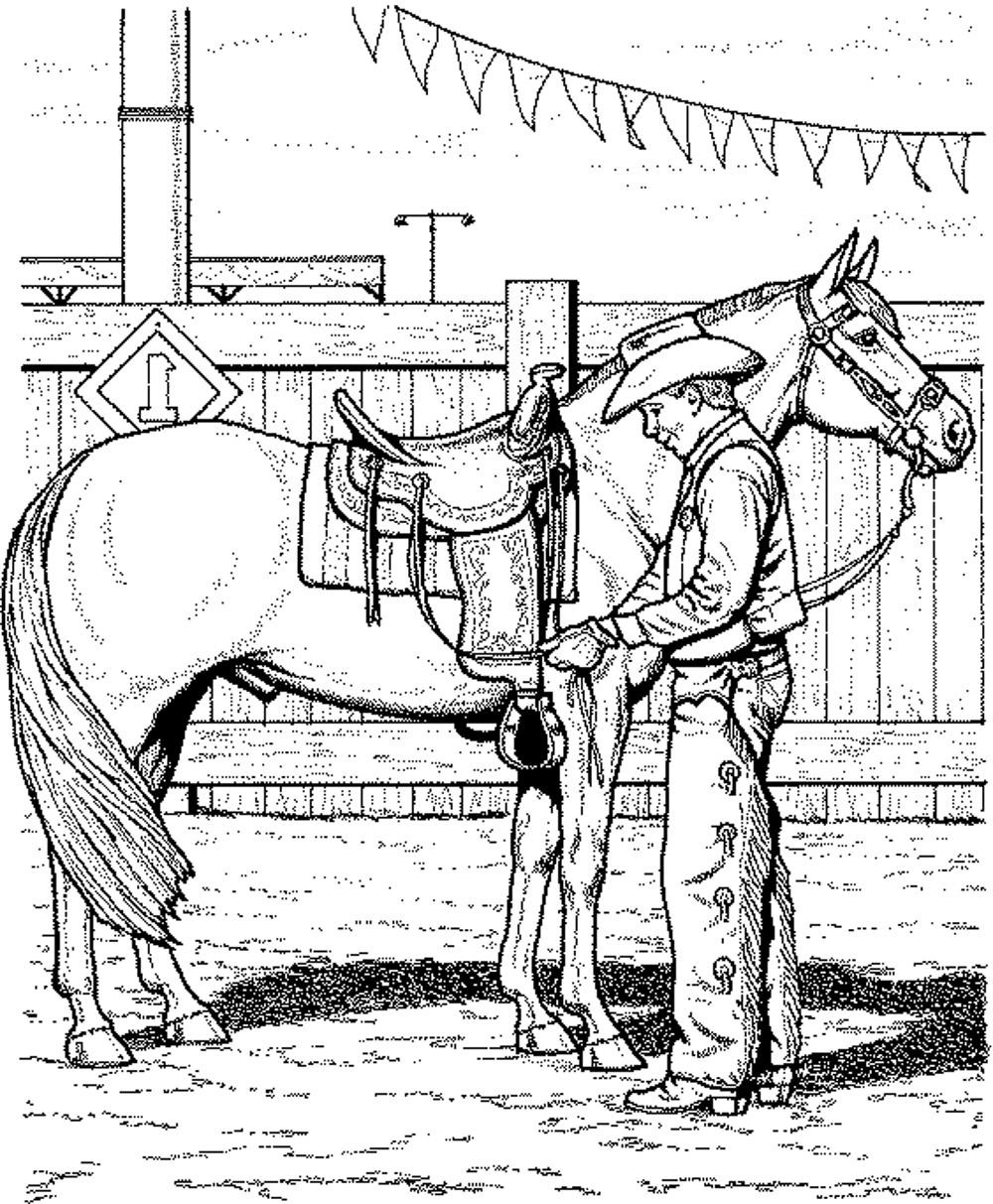 Adult Horse Coloring Pages
 Fun Horse Coloring Pages for Your Kids Printable