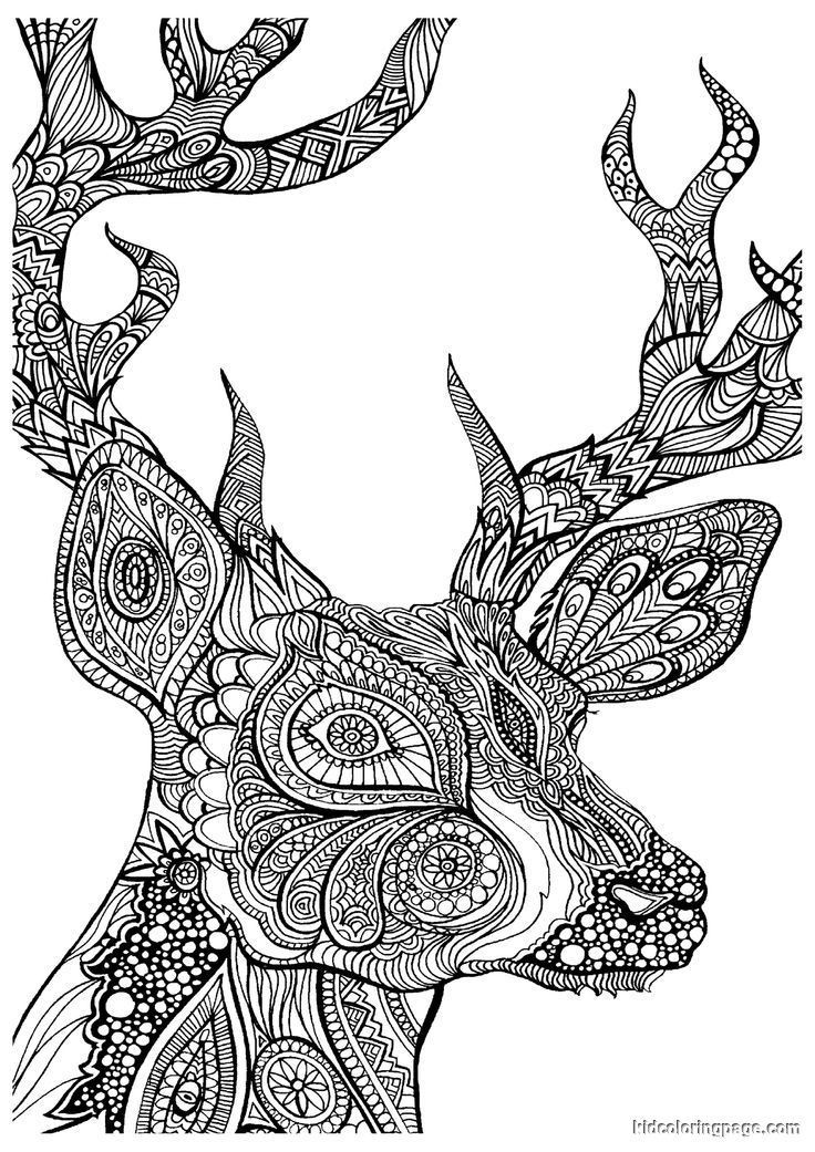 Advanced Coloring Pages
 Advanced Coloring Pages Animals Coloring Home