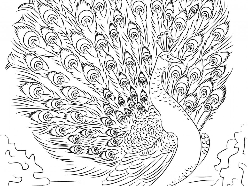 Advanced Online Coloring Pages
 52 Free Printable Advanced Coloring Pages Advanced Skill