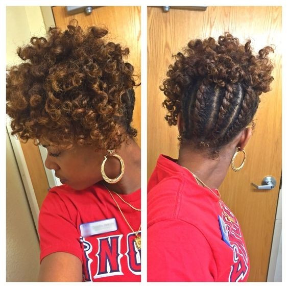 African American Flat Twist Updo Hairstyles
 10 Chic African American Braids The Hot New Look