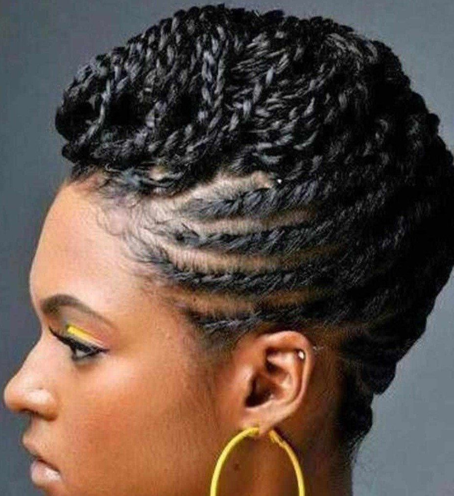 African Natural Hairstyle
 black professional natural hairstyles and african american